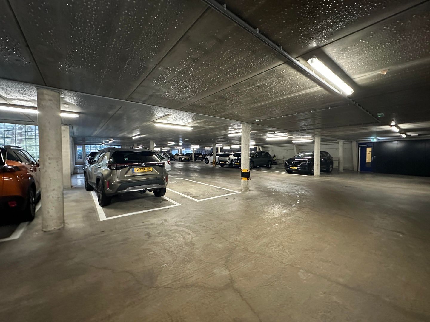 Zandbloem, Eindhoven foto-26 blur