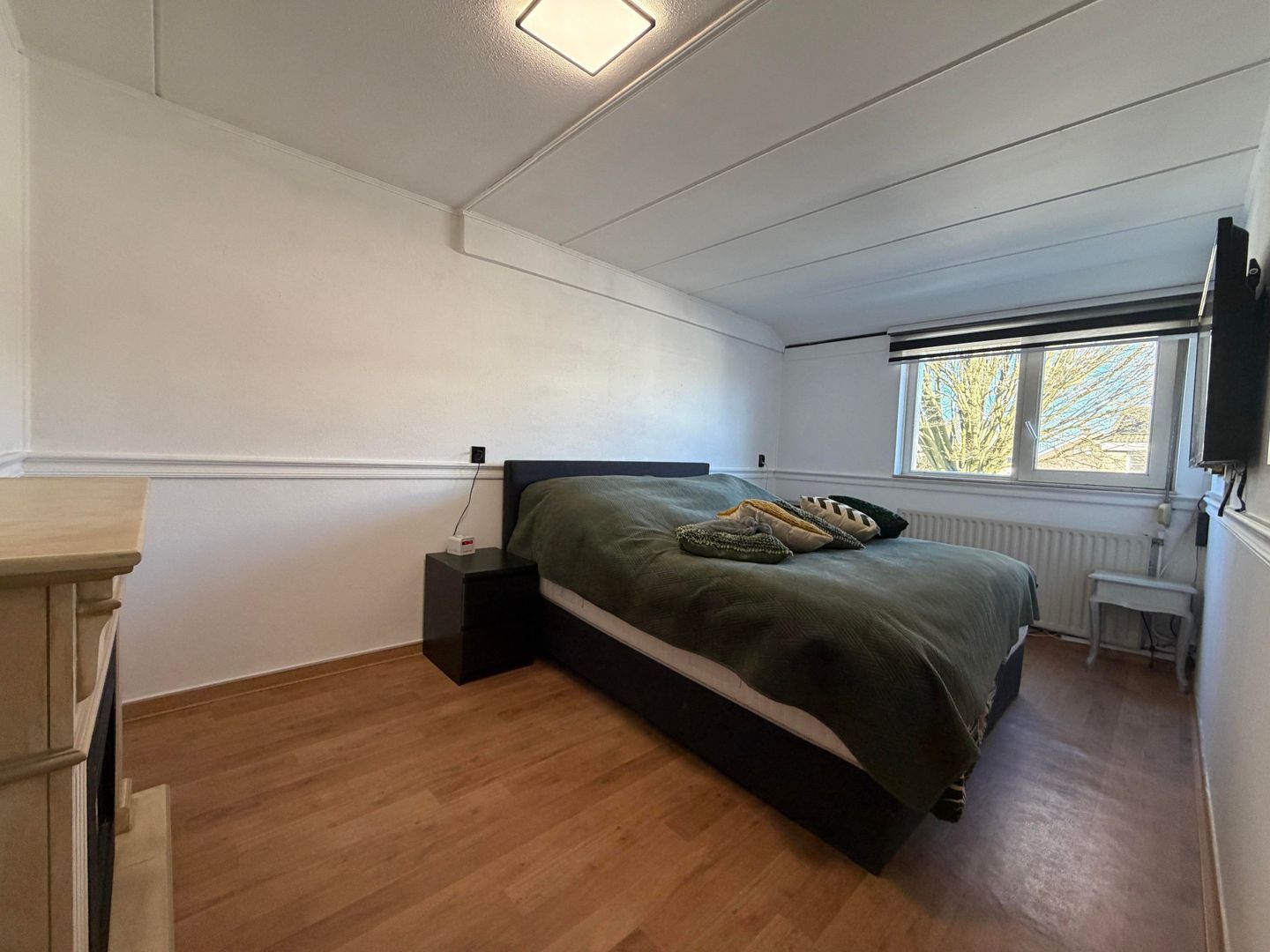 Generaal Linckerslaan, Eindhoven foto-12 blur