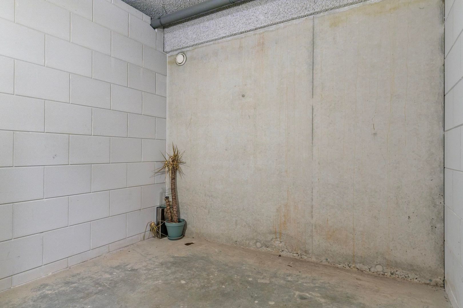 Abdijtuinen, Veldhoven foto-10 blur