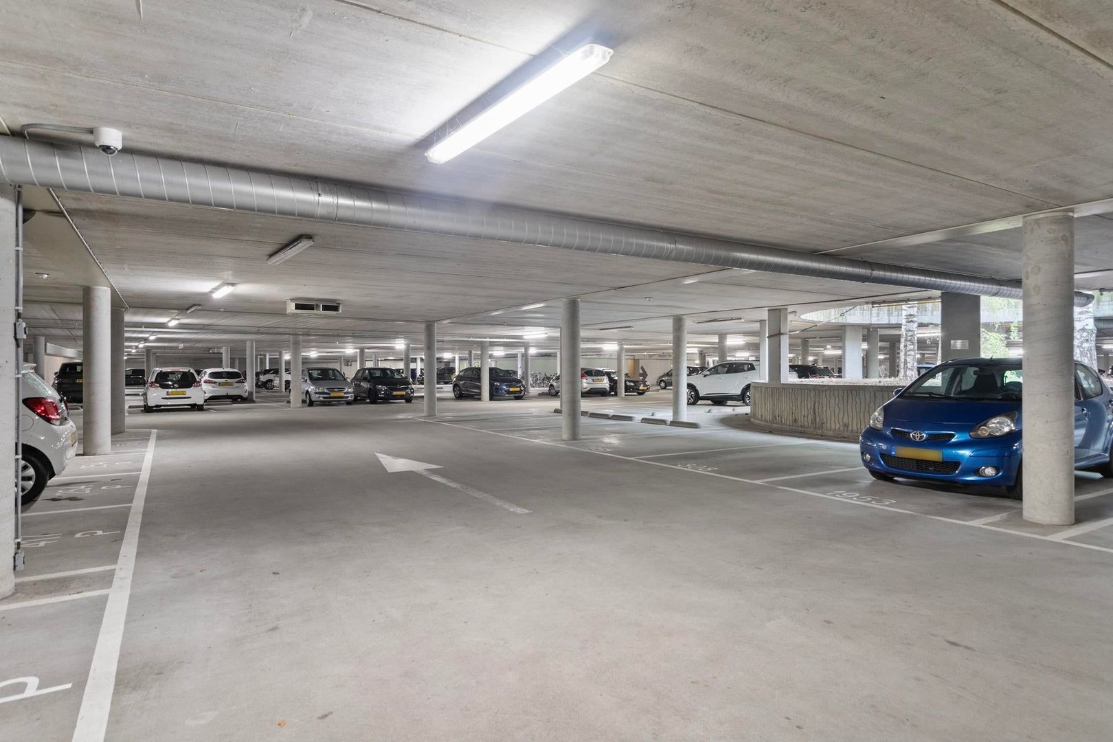 Abdijtuinen, Veldhoven foto-9 blur