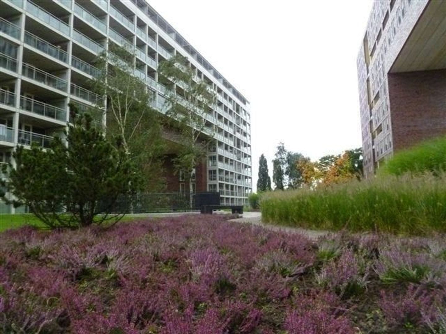 Abdijtuinen, Veldhoven foto-9 blur