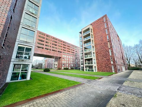 Abdijtuinen, Eindhoven