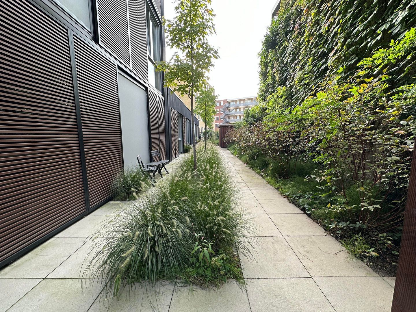 Kleine Berg, Eindhoven foto-10 blur