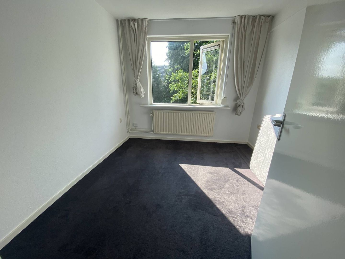 Hondsruglaan, Eindhoven foto-14 blur