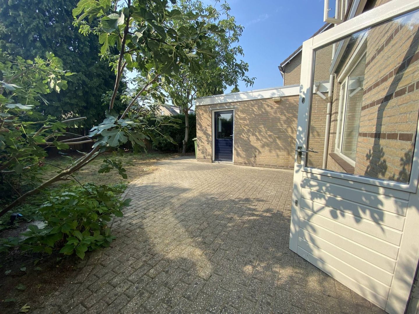 Hondsruglaan, Eindhoven foto-23 blur