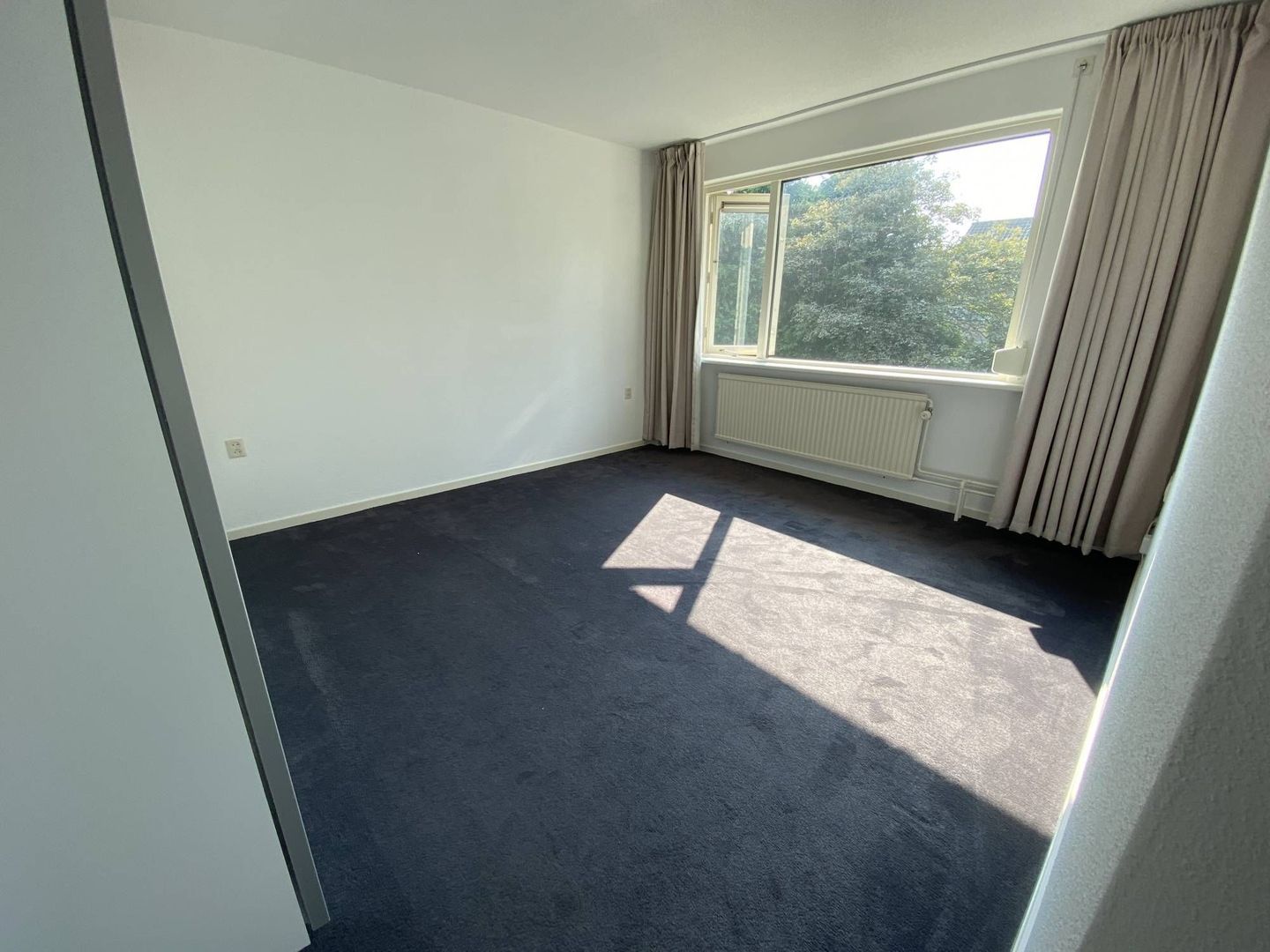 Hondsruglaan, Eindhoven foto-11 blur