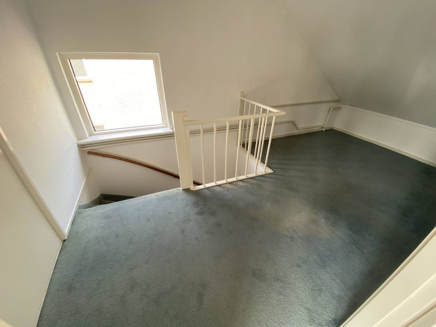 Hondsruglaan, Eindhoven foto-18 blur