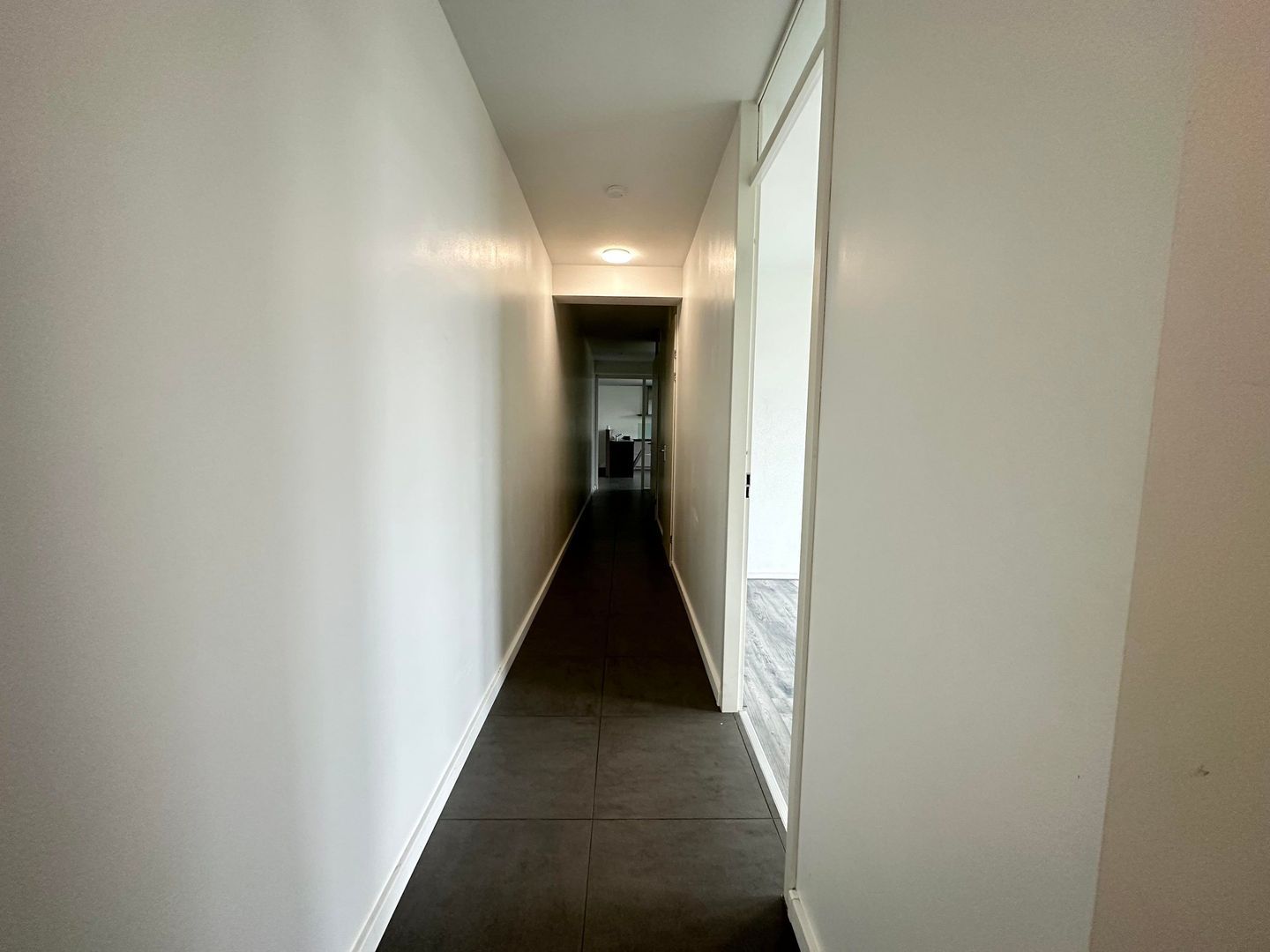 Abdijtuinen, Veldhoven foto-3 blur