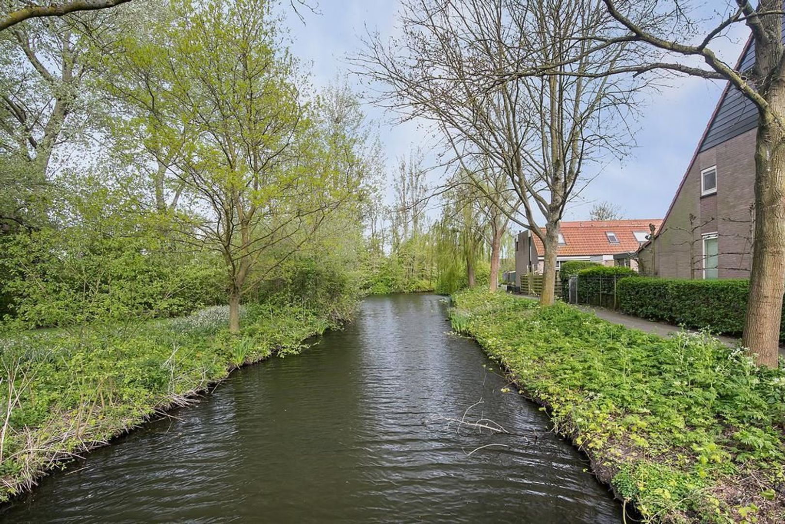 Regge 25, Pijnacker foto-27 blur