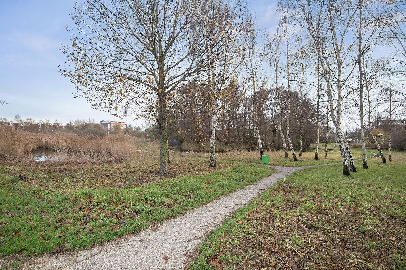 Hoylede 9, Pijnacker foto-27 blur