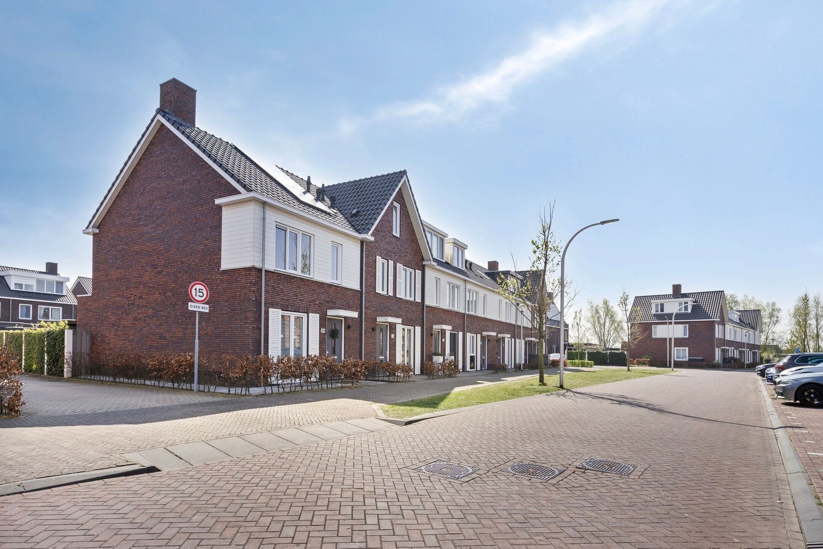 Vossenzoom 286, Pijnacker foto-5 blur