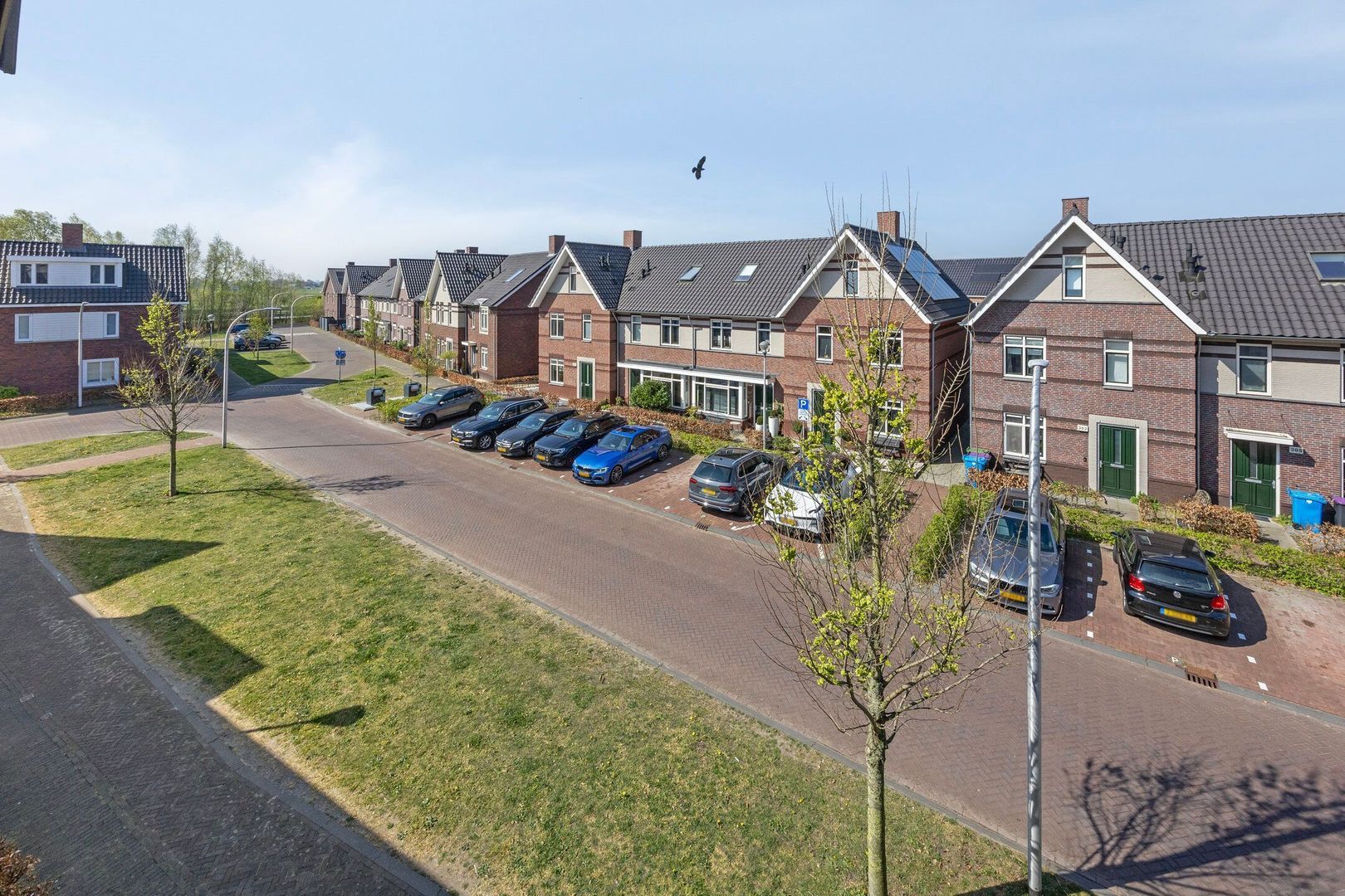 Vossenzoom 286, Pijnacker foto-33 blur
