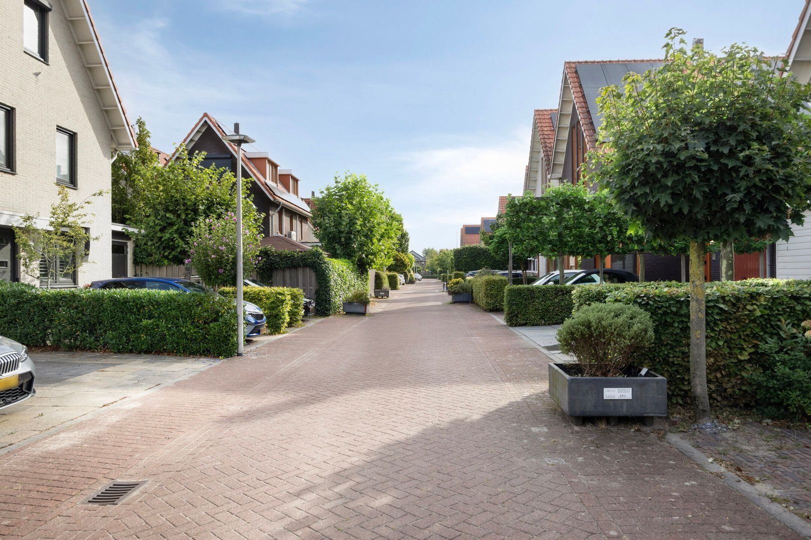 De Harnasch 8, Pijnacker foto-40 blur