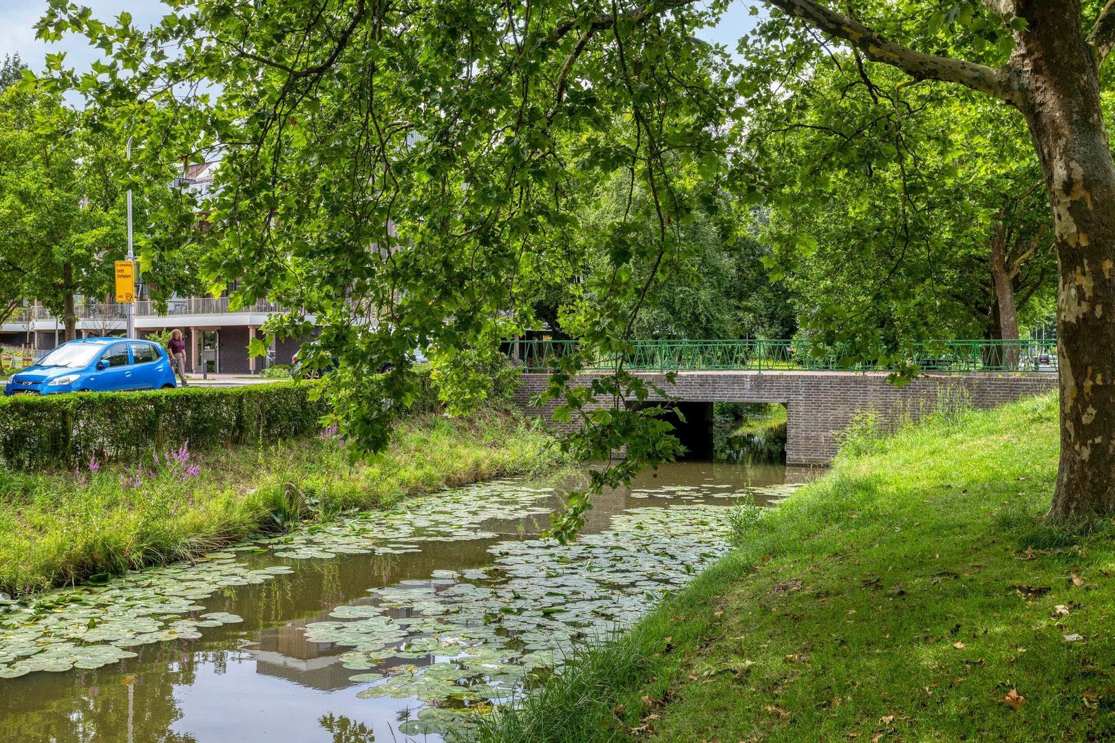 Berberislaan 5, Pijnacker foto-5 blur