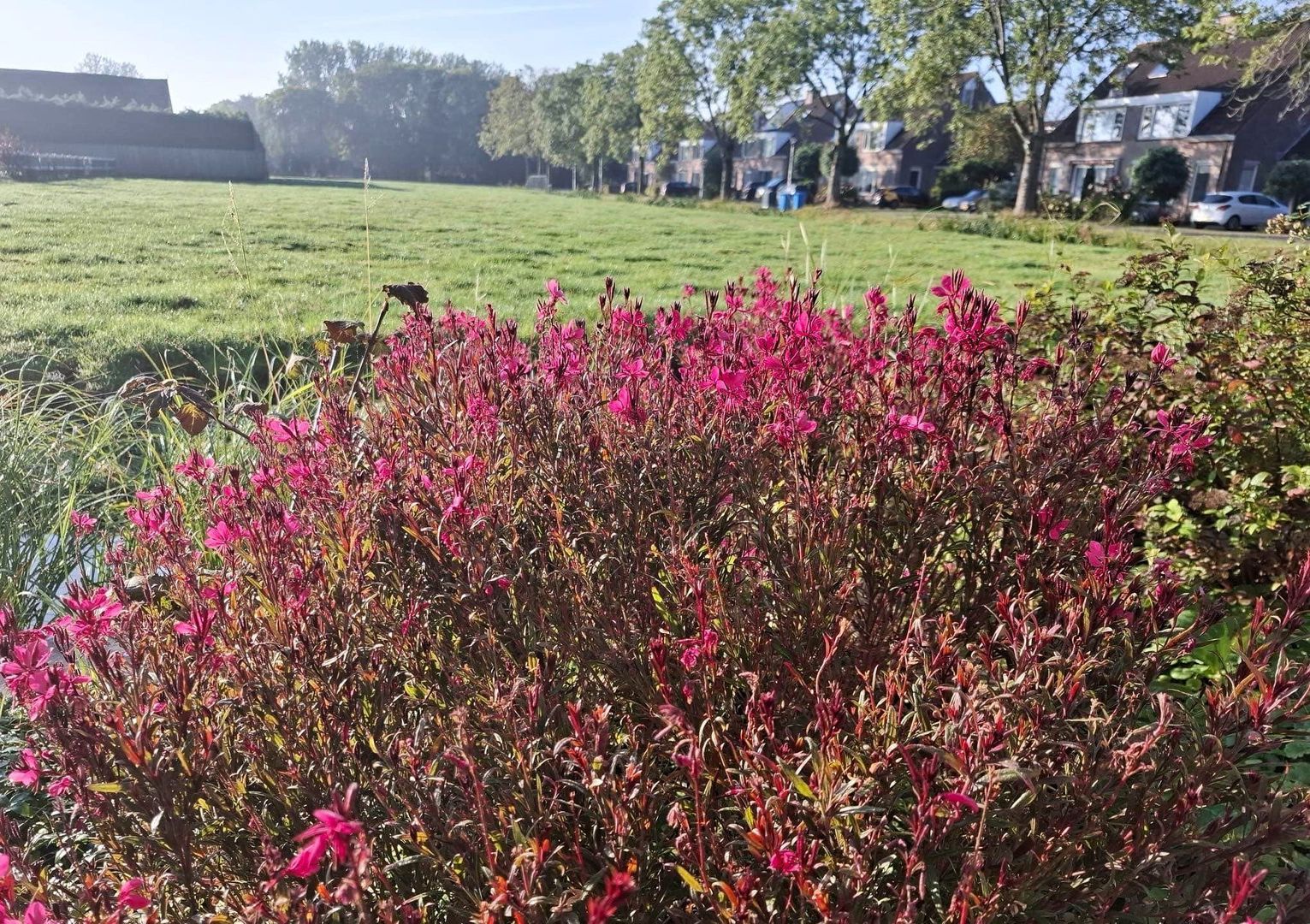 Rosa Spierstraat 4, Pijnacker foto-30 blur