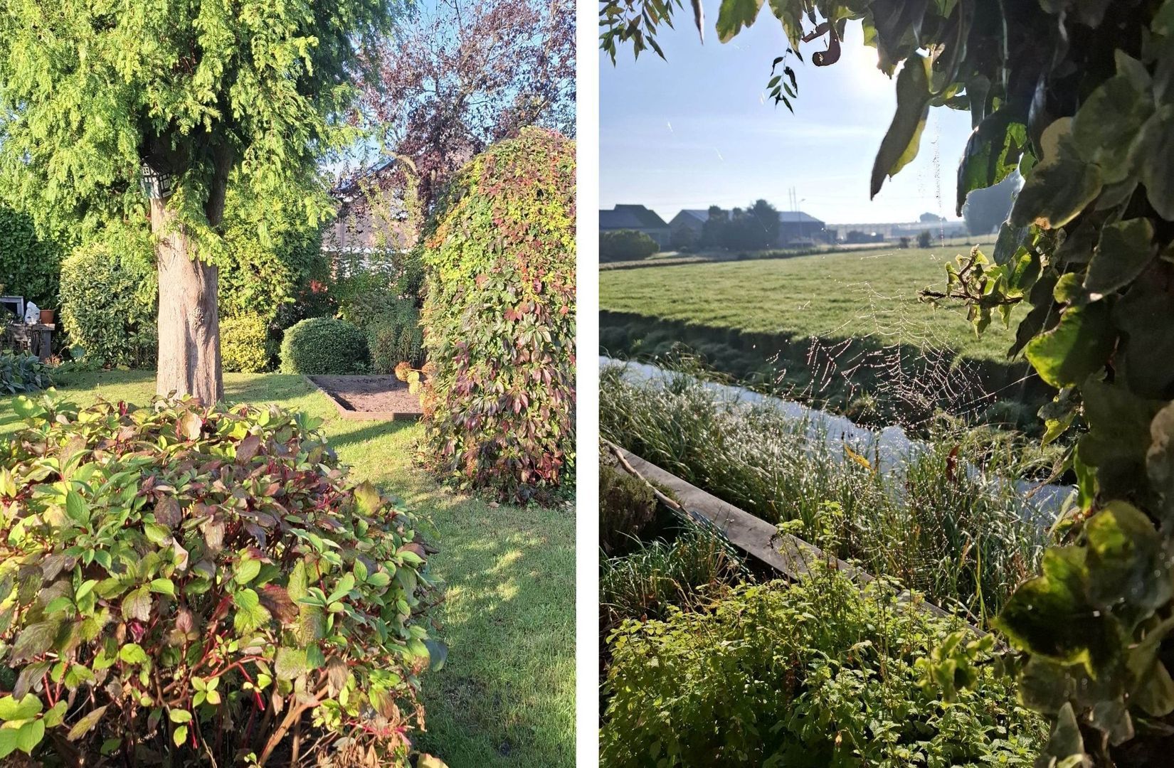 Rosa Spierstraat 4, Pijnacker foto-34 blur