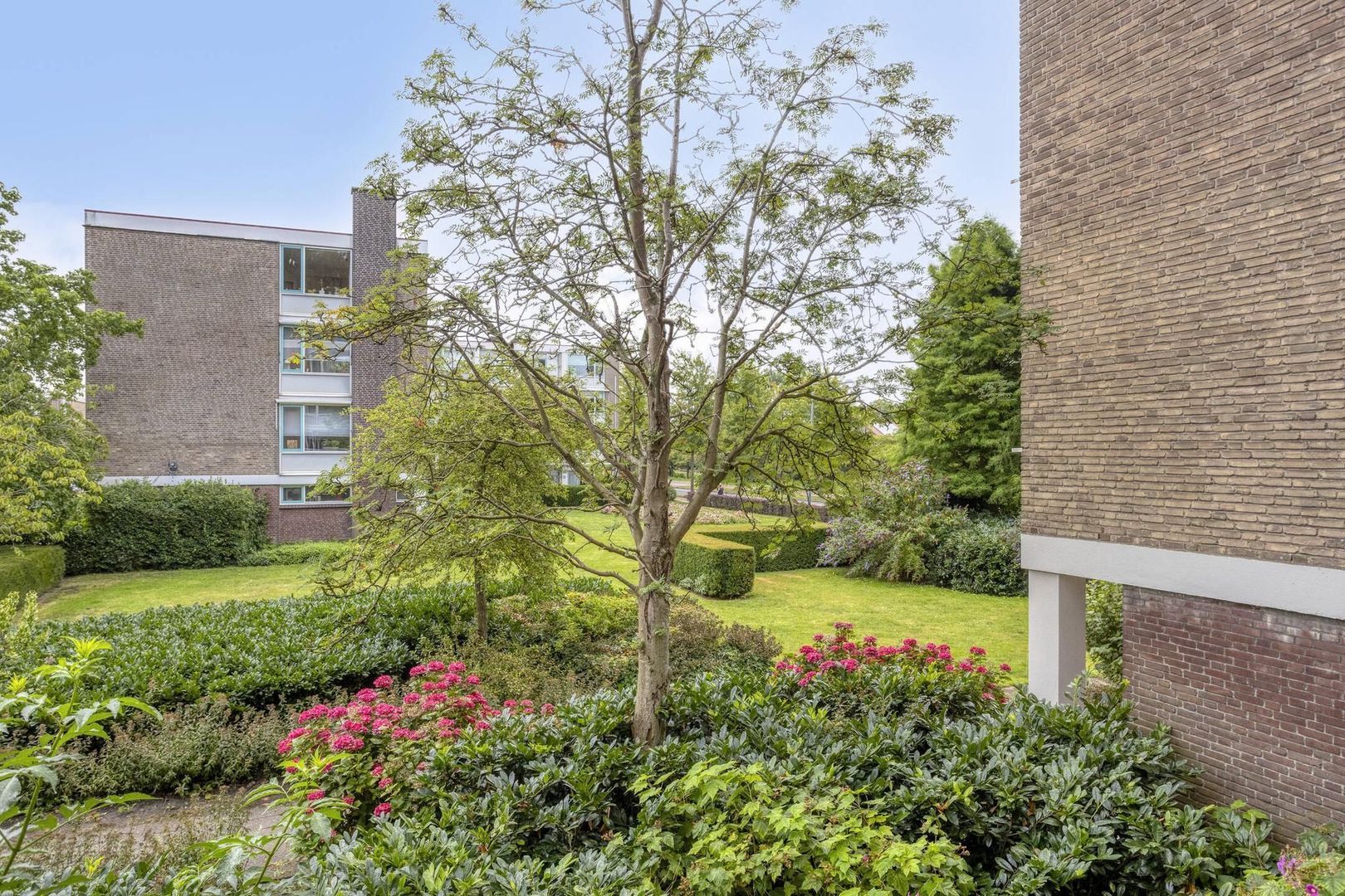 Storklaan 45, Delft foto-20 blur