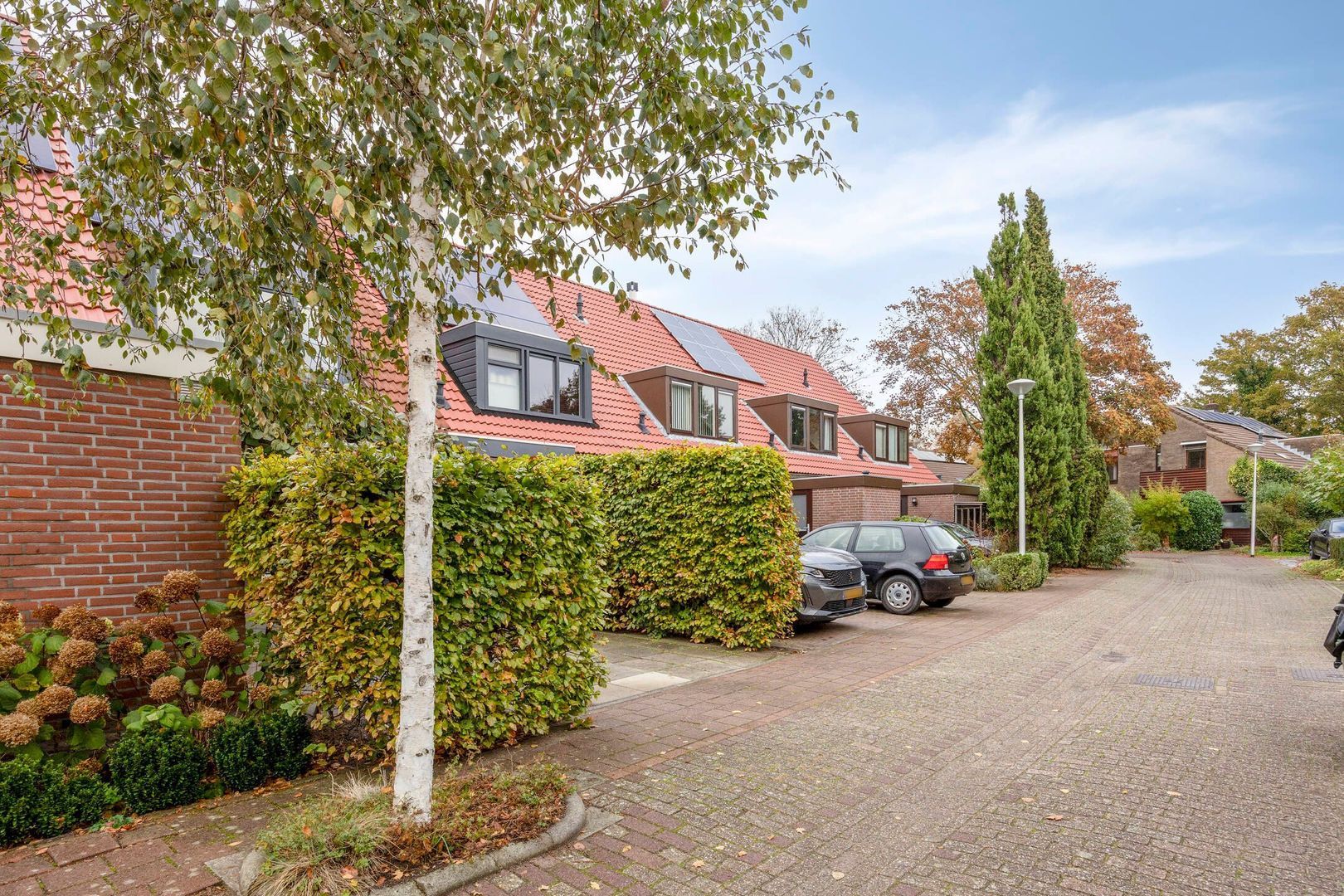 Zaan 20, Pijnacker foto-4 blur