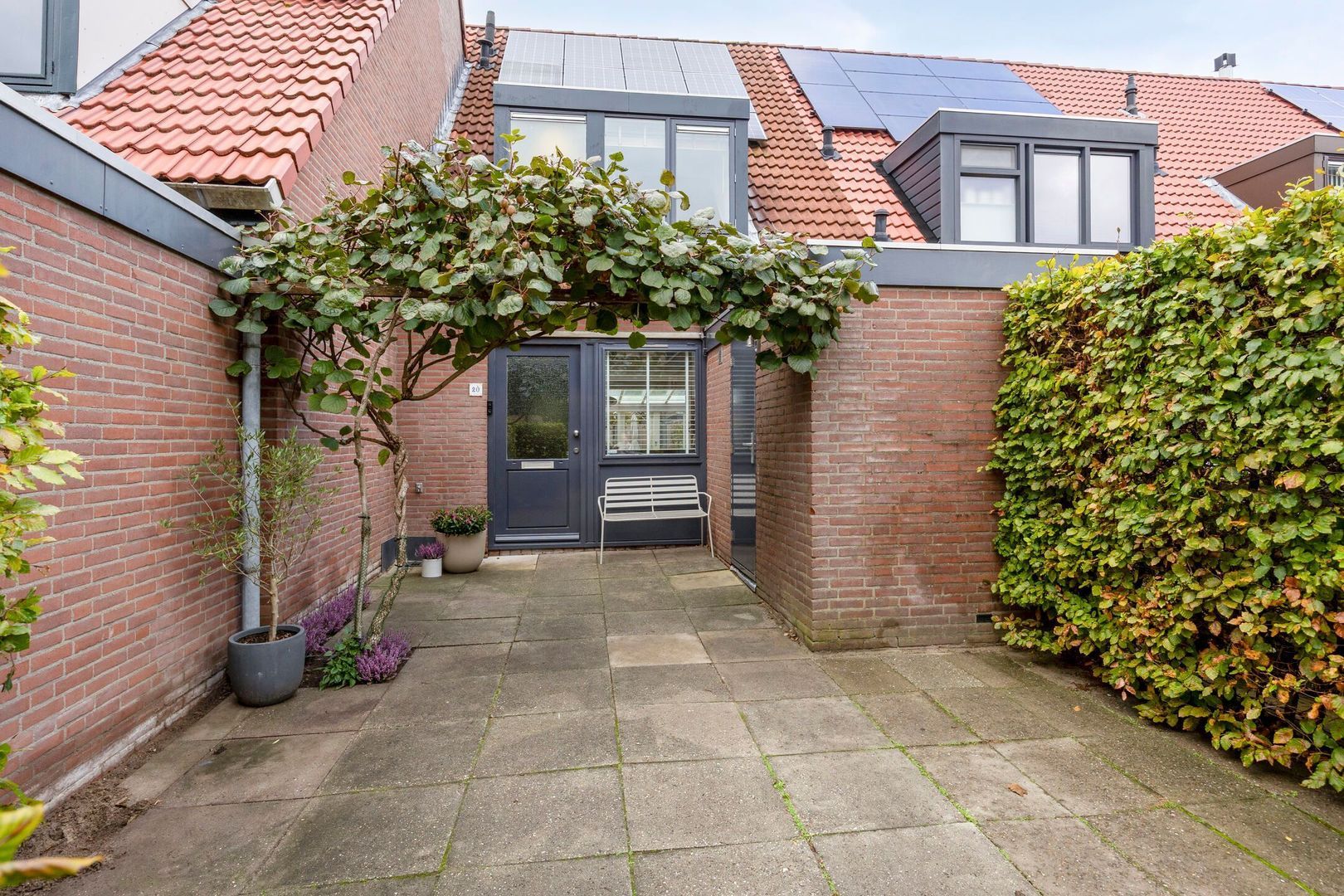 Zaan 20, Pijnacker foto-5 blur