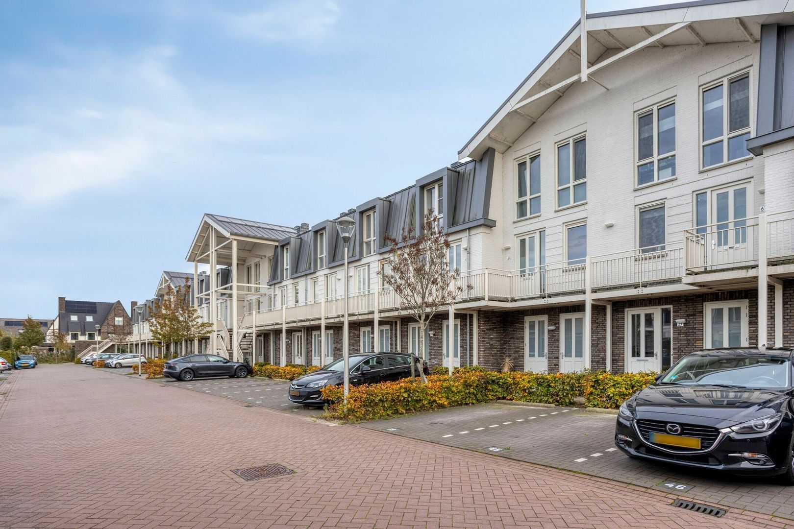 Brinkrijk 27, Pijnacker foto-5 blur