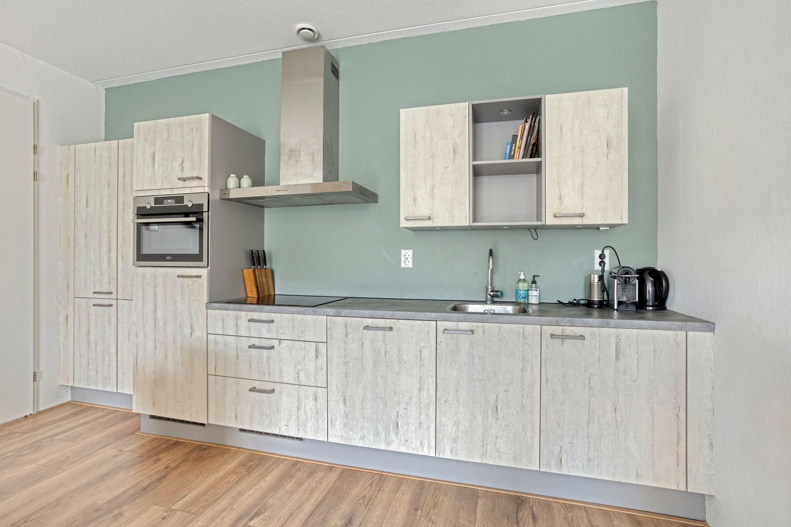 Brinkrijk 27, Pijnacker foto-12 blur