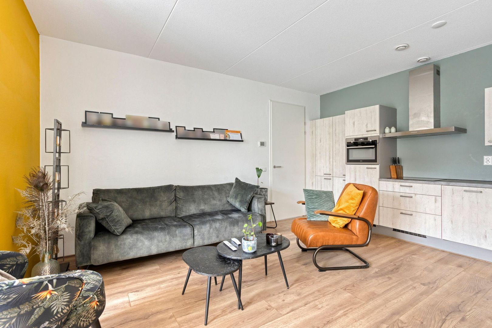 Brinkrijk 27, Pijnacker foto-11 blur