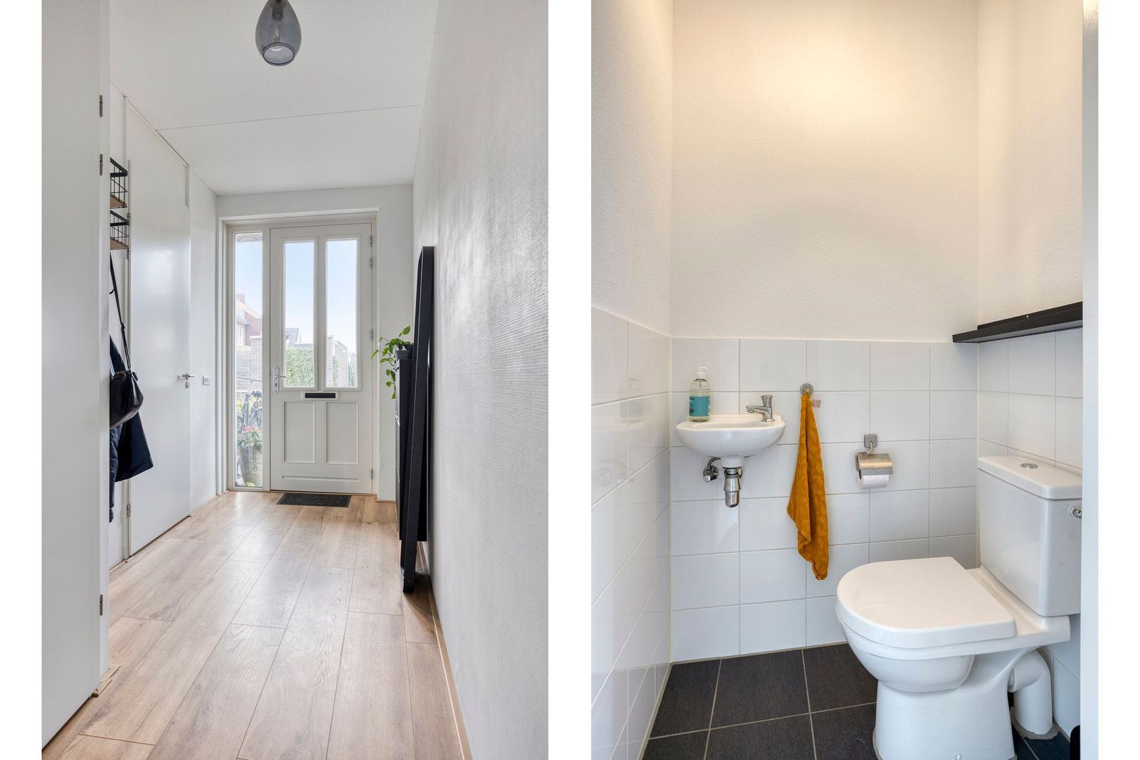 Brinkrijk 27, Pijnacker foto-8 blur