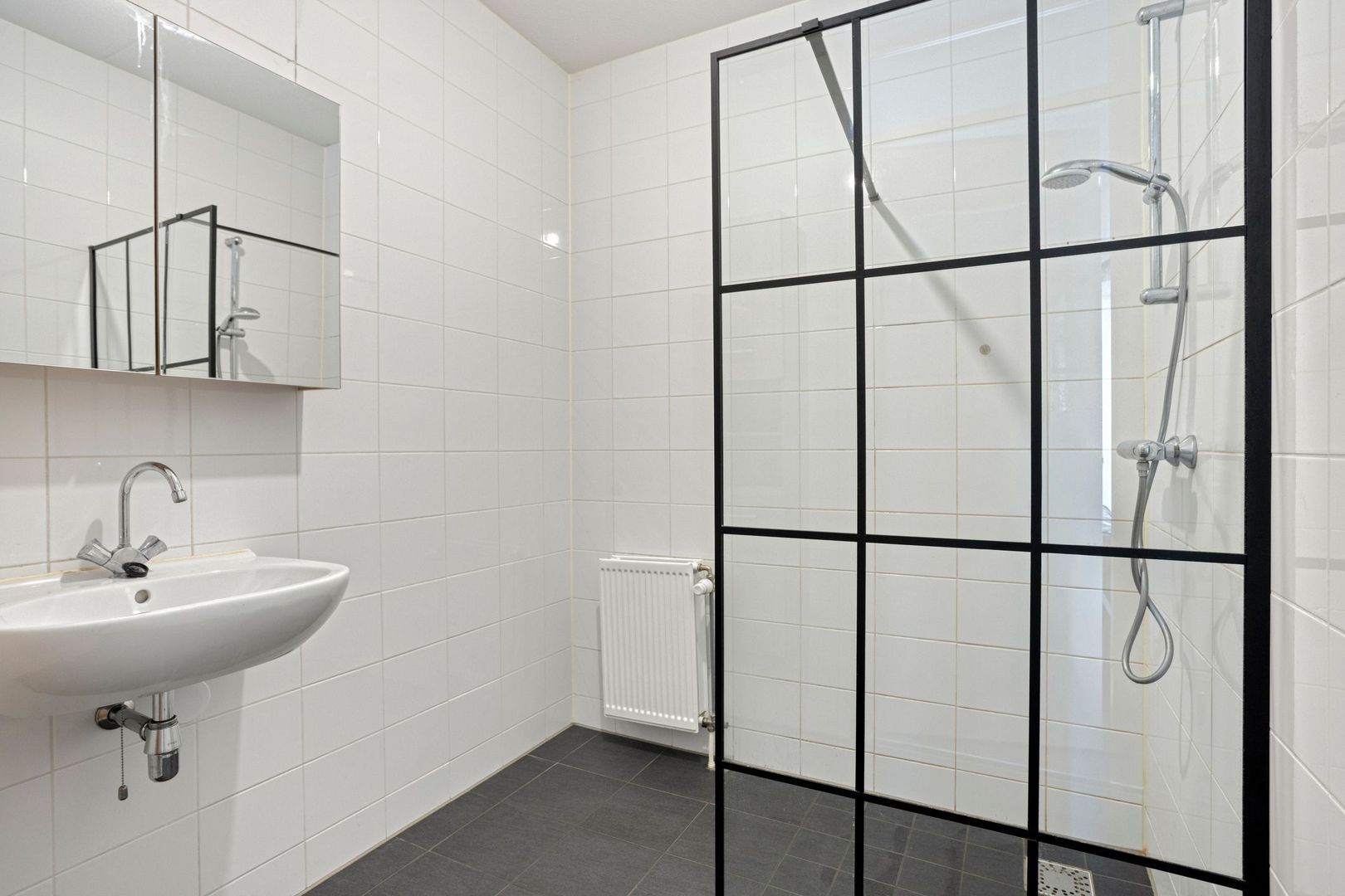 Brinkrijk 27, Pijnacker foto-16 blur