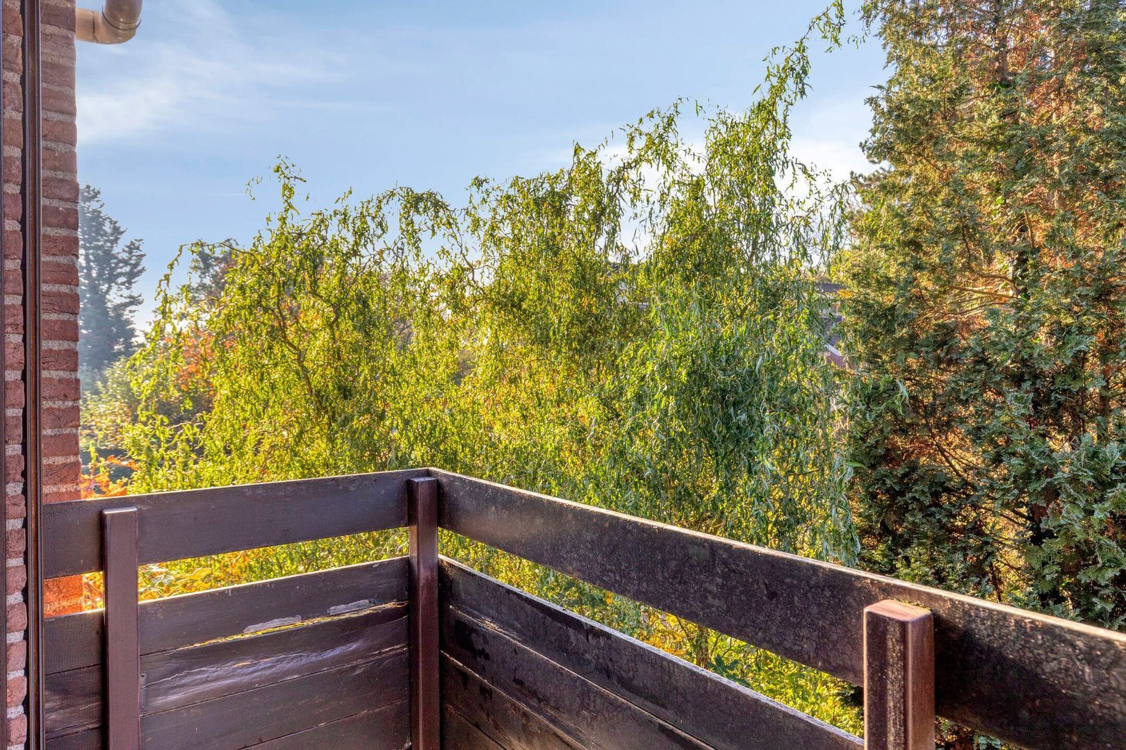 Koningshof 72, Pijnacker foto-25 blur