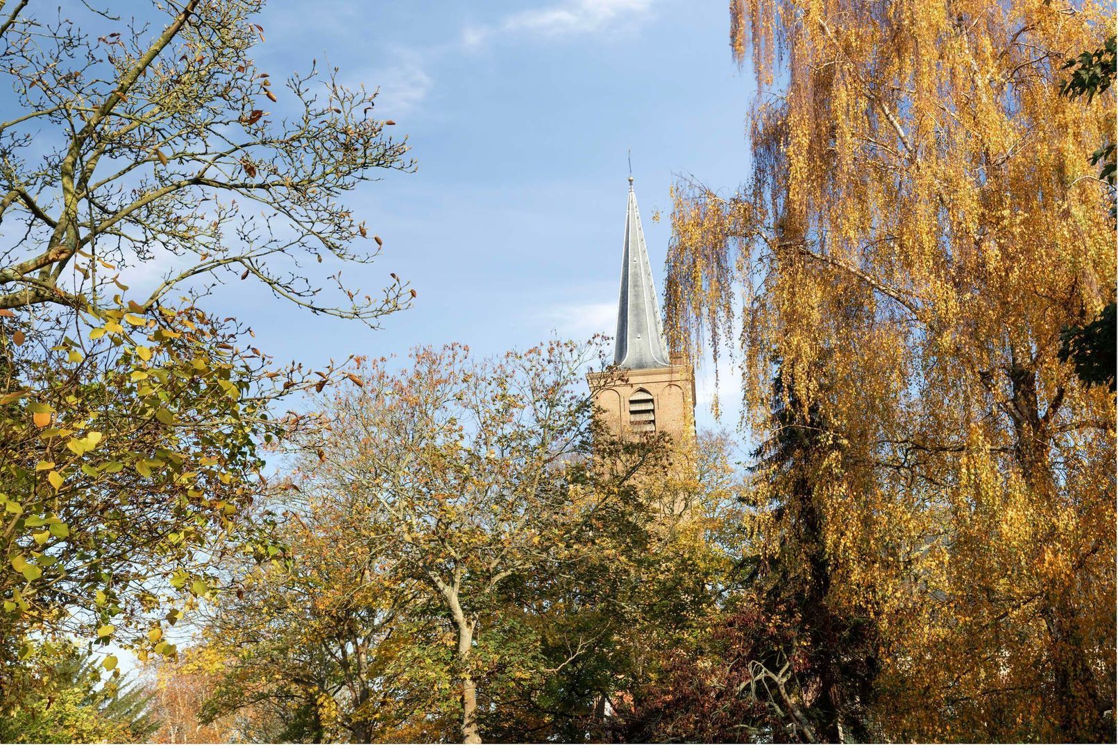 Koningshof 72, Pijnacker foto-41 blur