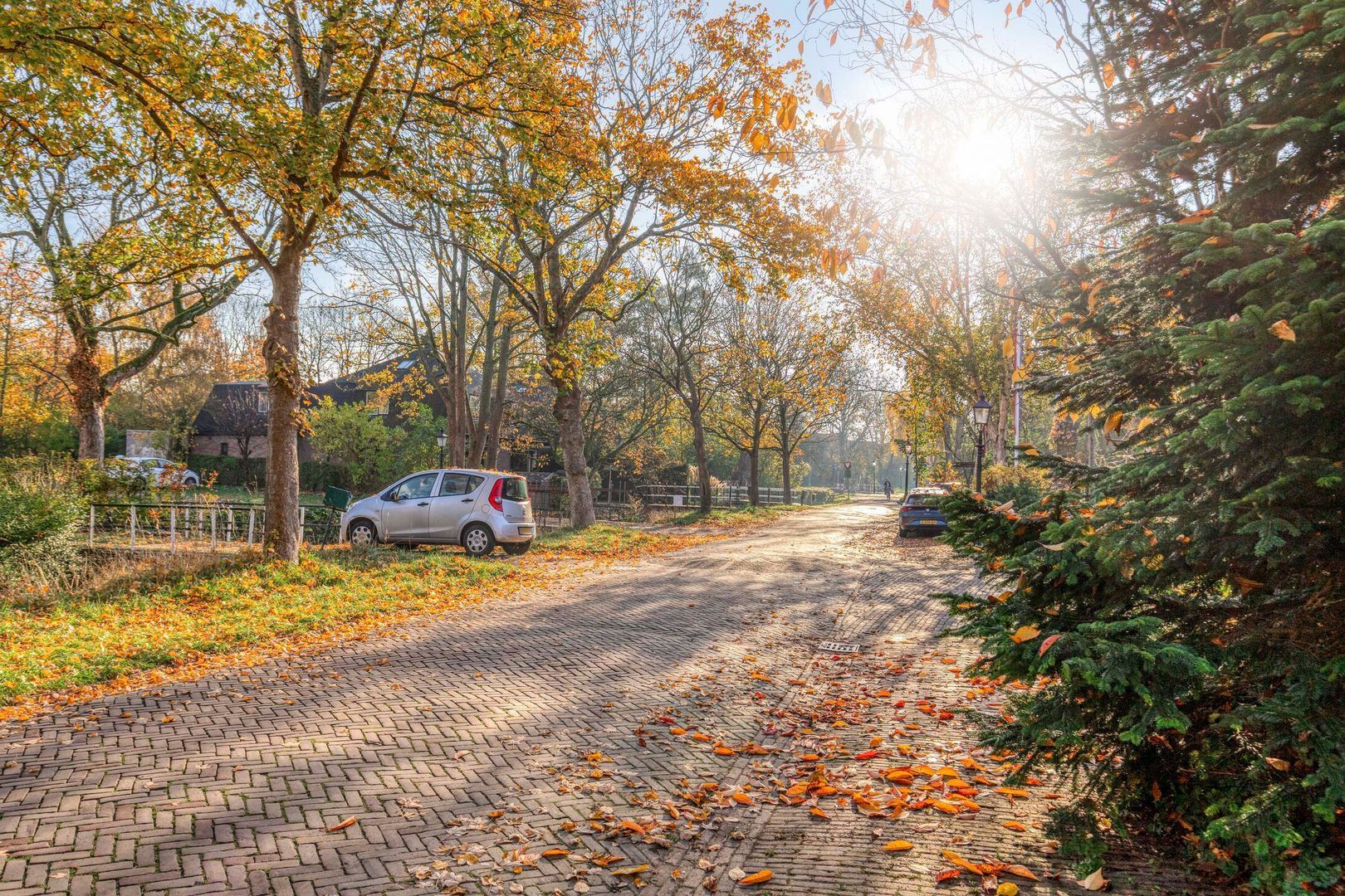 Koningshof 72, Pijnacker foto-40 blur