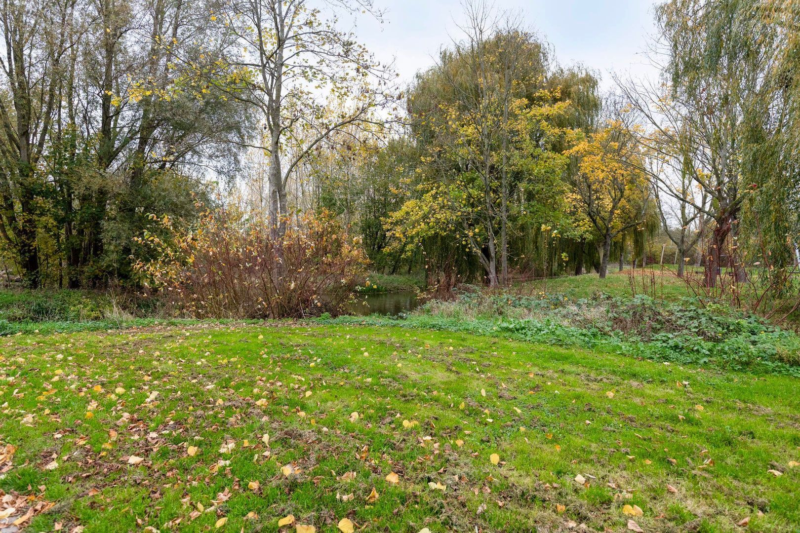 Rommesingel 14, Pijnacker foto-29 blur