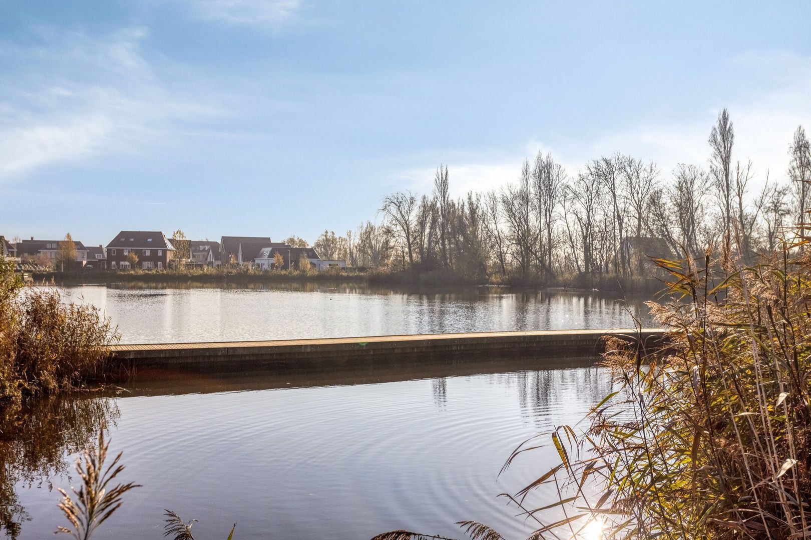 Fresiatuin 16, Pijnacker foto-22 blur