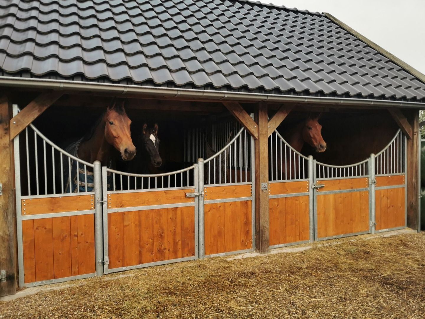 Wilgenweg 9, Pijnacker foto-2 blur