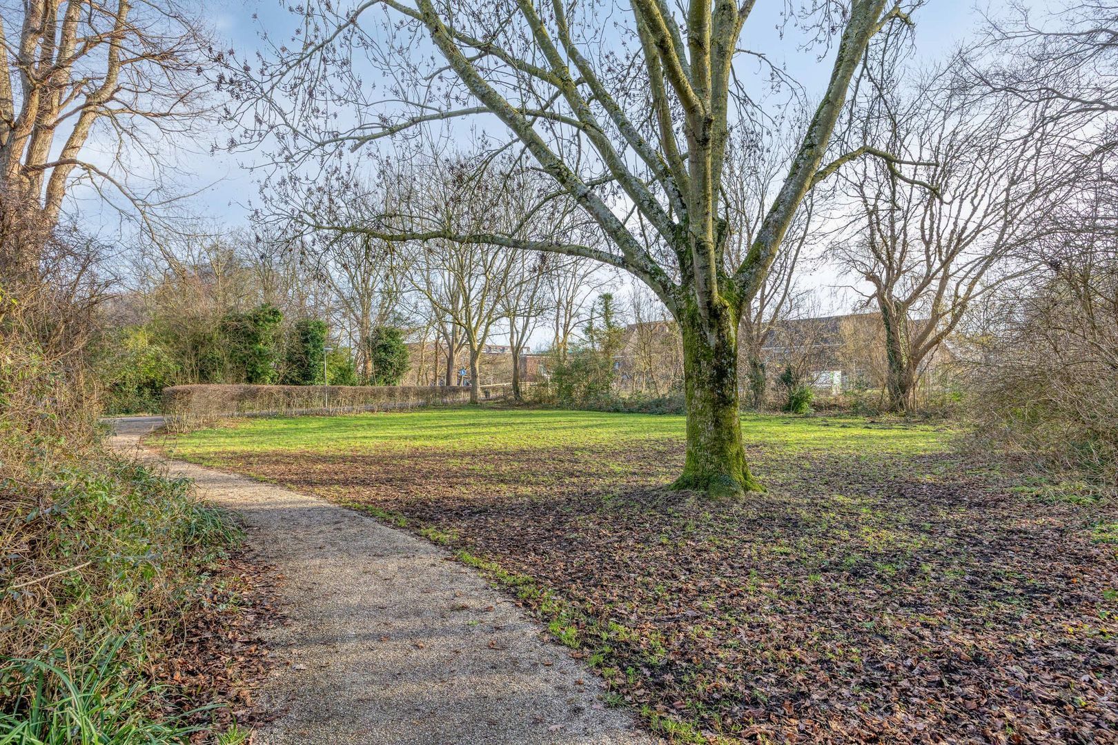 Popelenburg 19, Pijnacker foto-49 blur