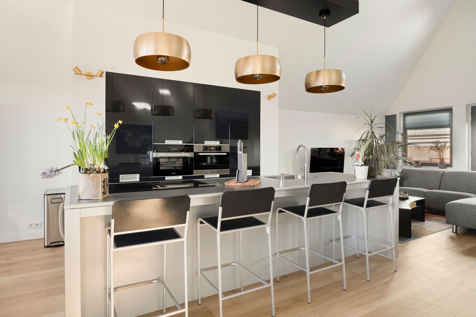 Galop 1, Nootdorp foto-3 blur