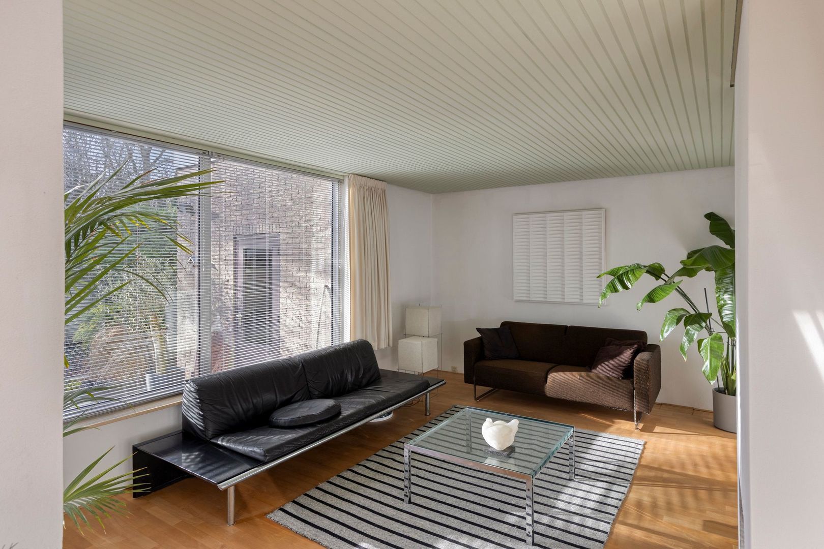 Hofzicht 16, Pijnacker foto-15 blur