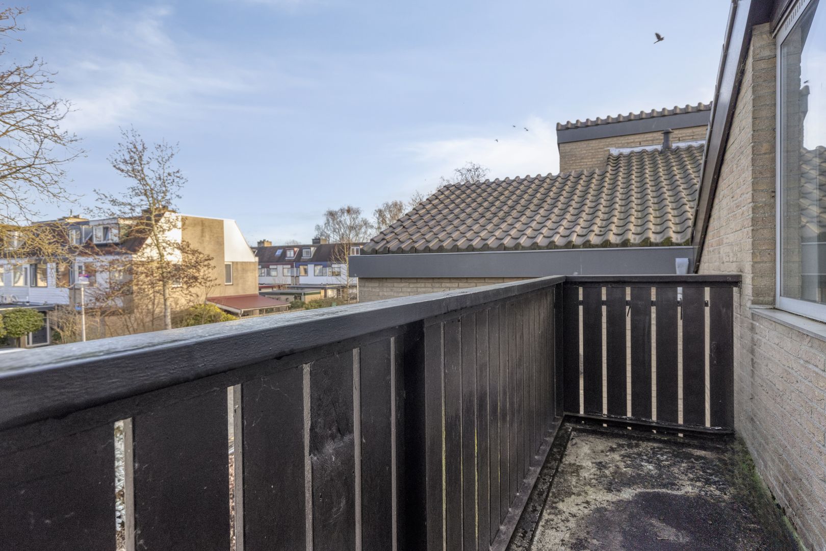 Hofzicht 16, Pijnacker foto-33 blur