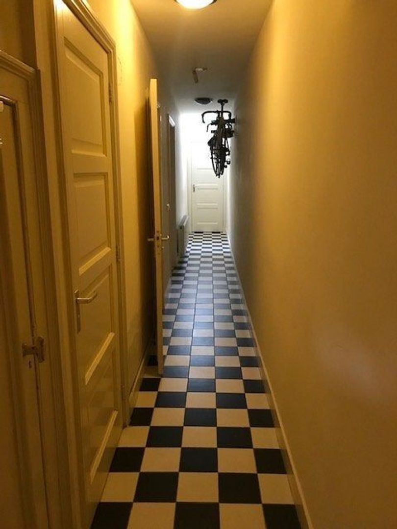 Oude Rijn, Leiden foto-5