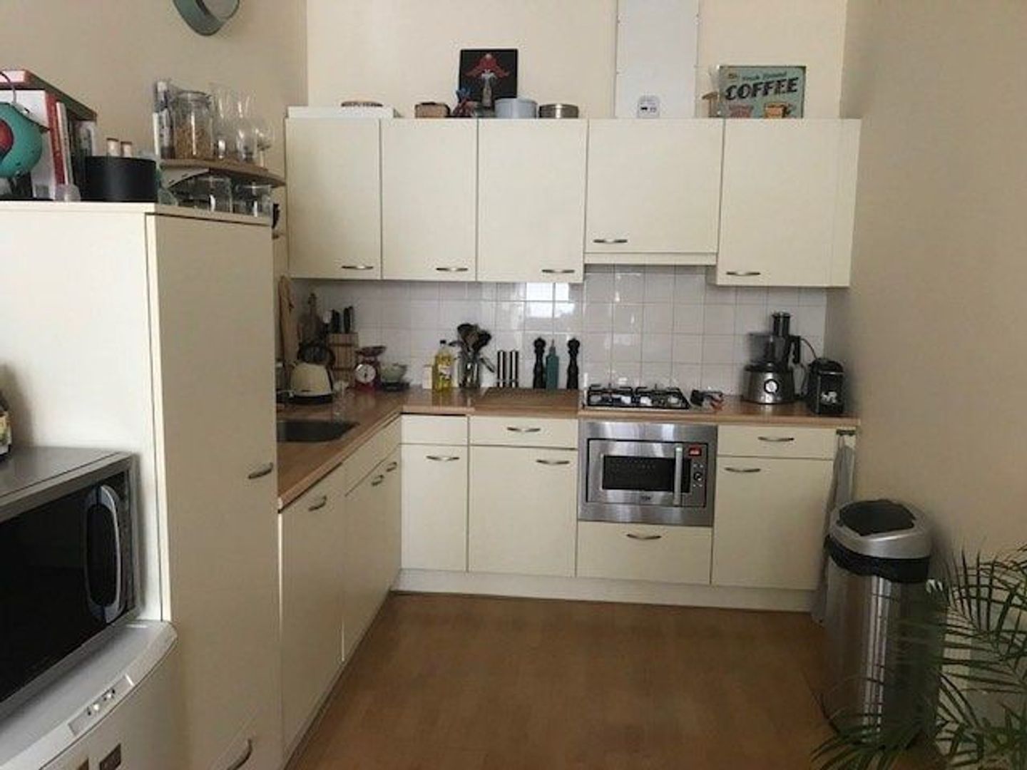 Oude Rijn, Leiden foto-4