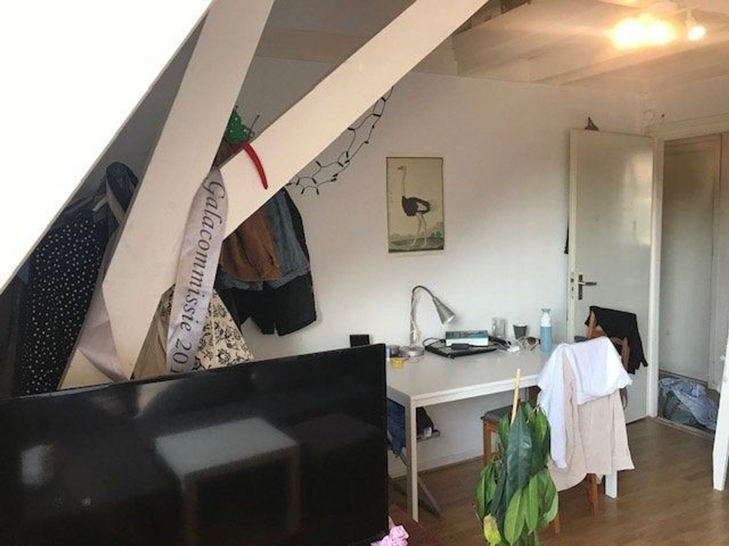 Haarlemmerstraat, Leiden foto-5