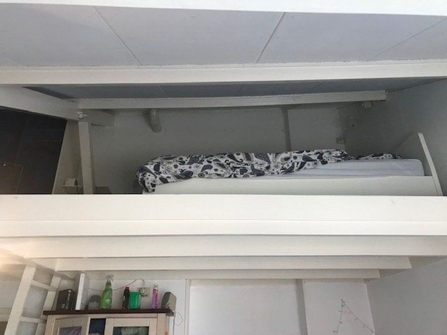 Haarlemmerstraat, Leiden foto-7