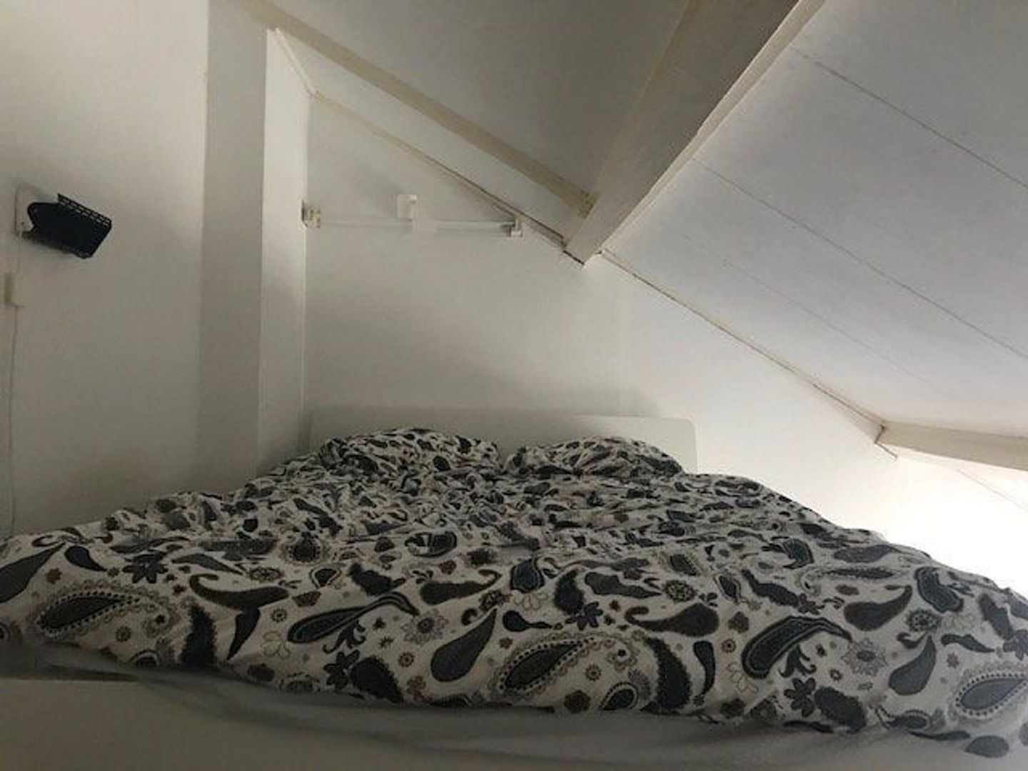 Haarlemmerstraat, Leiden foto-8