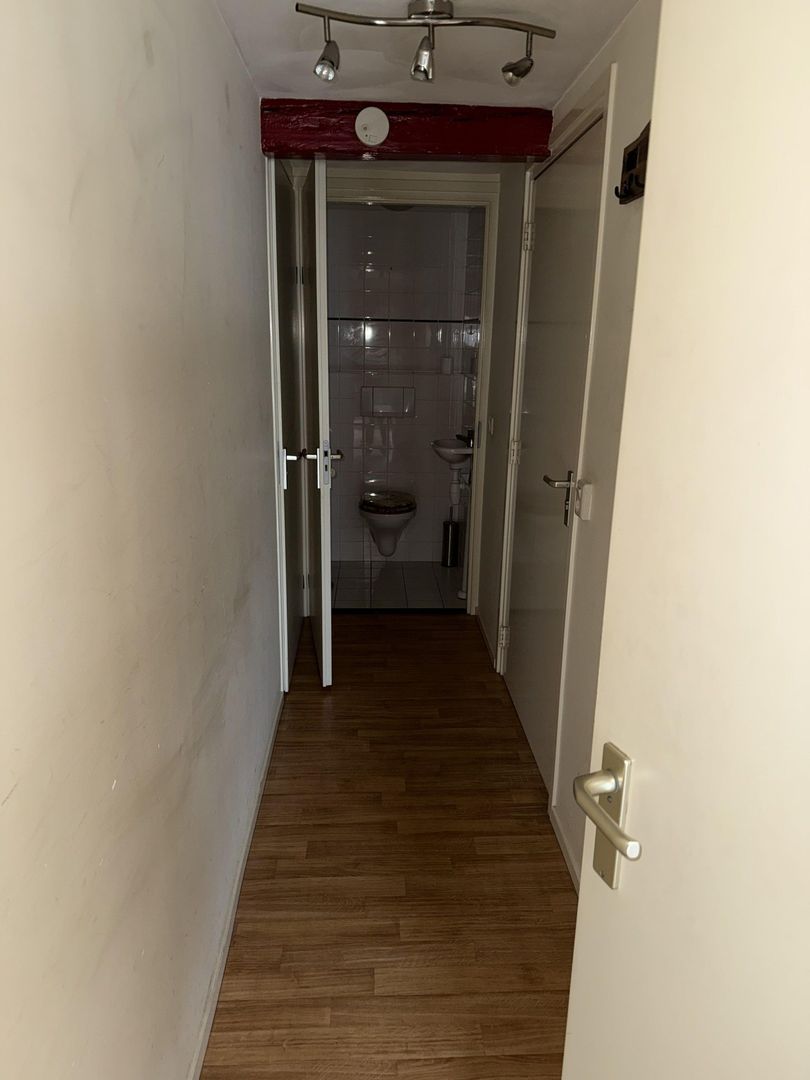 Oude Rijn, Leiden foto-15