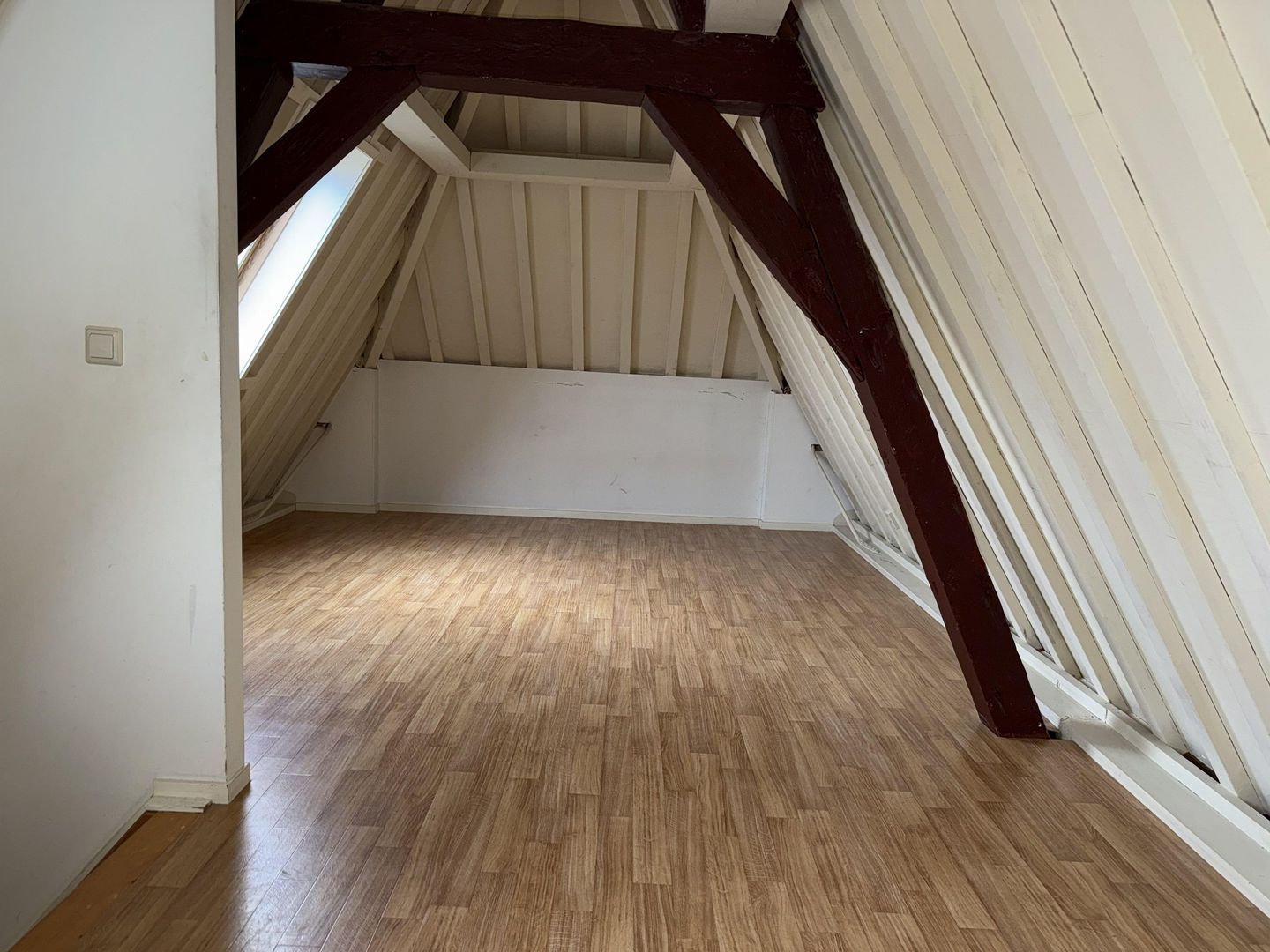 Oude Rijn, Leiden foto-14