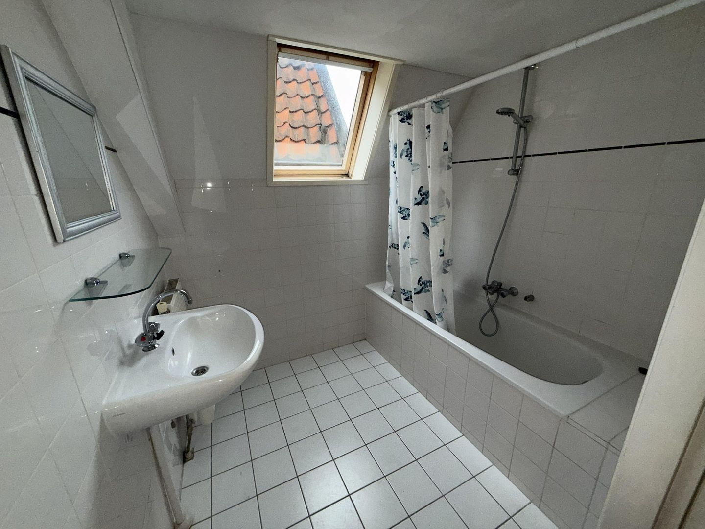 Oude Rijn, Leiden foto-17