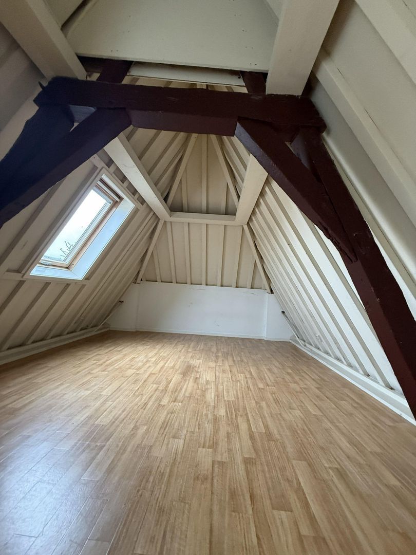 Oude Rijn, Leiden foto-9