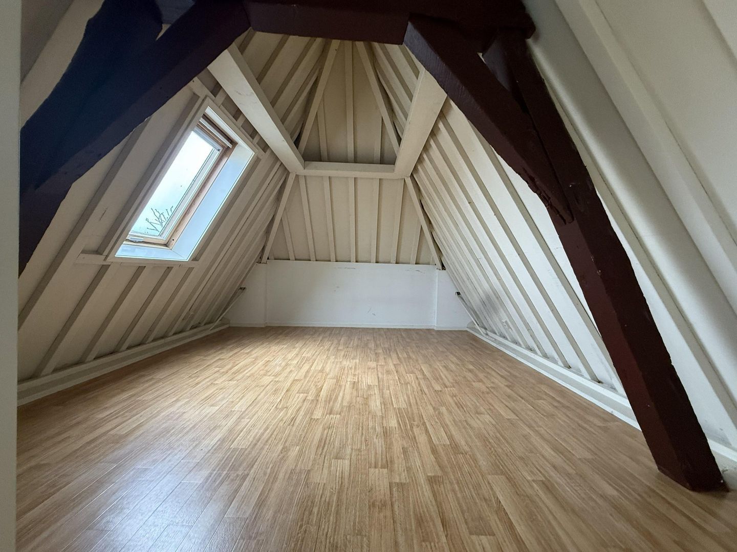 Oude Rijn, Leiden foto-8