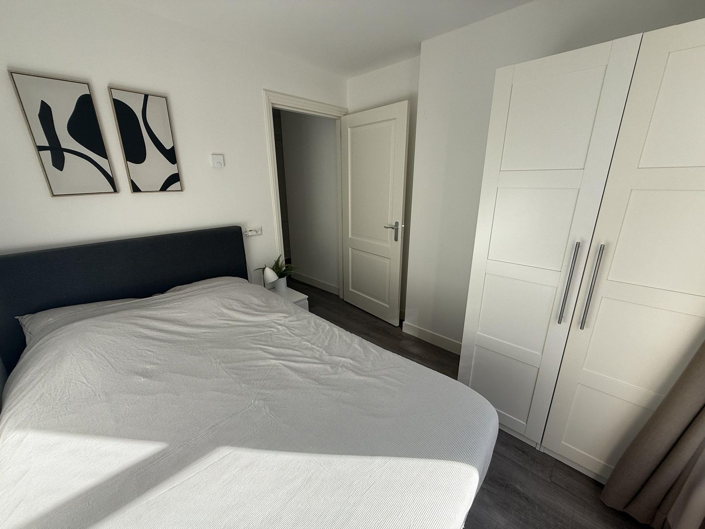 Beschuitsteeg, Leiden foto-7