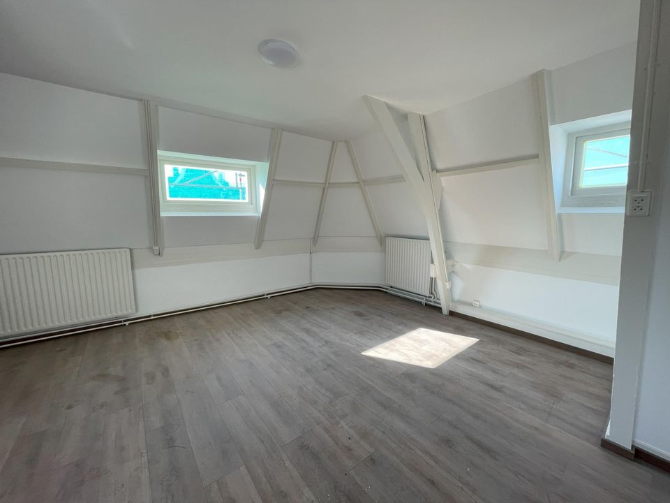 Oude Rijn, Leiden